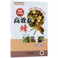 音像高效养蜂(视频升级版)/高效养殖致富直通车编者:张中印