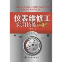 音像仪表维修工实用技能详解王景芝 编