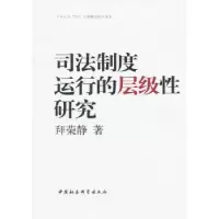 音像司法制度运行的层级研究拜荣静