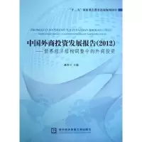 音像中国外商发展报告(2012):世界经济结构调整中的外商桑百川 编