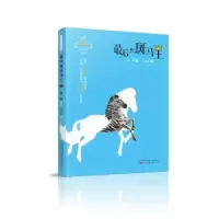 音像的斑马王袁博著