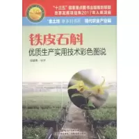 音像铁皮石斛优质生产实用技术彩色图说邱道寿编著