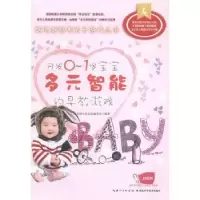 音像开发0-1岁宝宝多元智能的早教游戏名师文化生活编委会编著