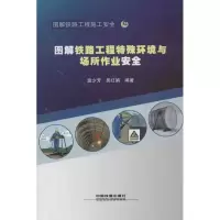 音像图解铁路工程特殊环境与场所作业安全温少芳 等