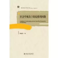 音像社会学视角下的反酷刑问题陈瑞华编