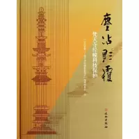 音像尘沾影覆(梵天寺经幢科技保护)(精)金志敏