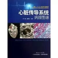 音像心脏传导系统病理图谱宋一璇,姚青松主编