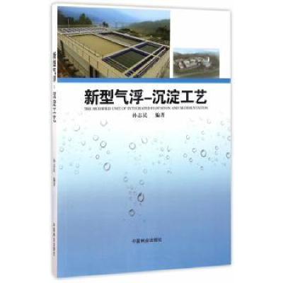 音像新型气浮 沉淀工艺孙志民