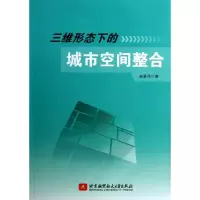 音像三维形态下的城市空间整合赵景伟
