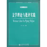 音像文学理论与批评实践何懿 编