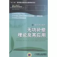 音像无功补偿理论及其应用程汉湘编著