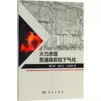 音像火力渗透贯通煤炭地下气化柳吉祥,周仕学,王彦洪著