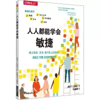 音像人人都能学会敏捷(美)马特·勒梅(Matt LeMay)