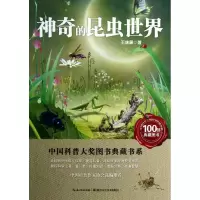 音像的昆虫世界王林瑶