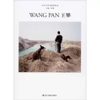 音像中国当代摄影图录 王攀刘铮 编