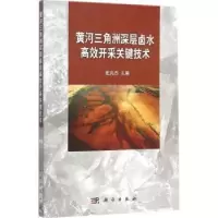 音像黄河三角洲深层卤水高效开采关键技术崔兆杰主编