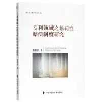音像专利领域之惩罚赔偿制度研究/前沿学丛李彦波