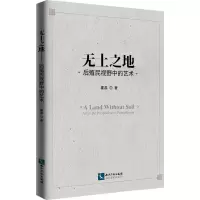 音像无土之地 后殖民视野中的艺术翟晶