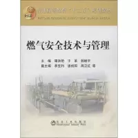 音像燃气安全技术与管理谭洪艳,于革,郭继平 编