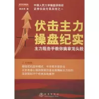 音像伏击主力操盘纪实高永亮