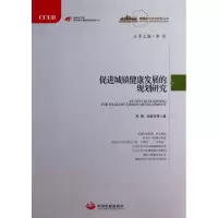 音像促进城镇健康发展的规划研究李铁