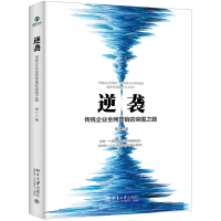 音像逆袭(传统企业营的突围之路)(精)单仁