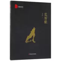 音像荒原狼/跨度小说文库张君艳