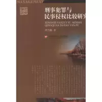 音像刑事犯罪与民事侵权比较研究周雪梅