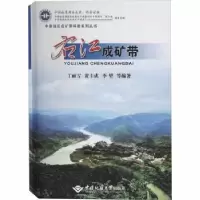 音像右江成矿带丁丽雪 黄圭成 李堃 等