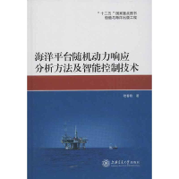 音像海洋平台随机动力响应分析方法及智能控制技术嵇春艳