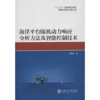 音像海洋平台随机动力响应分析方法及智能控制技术嵇春艳