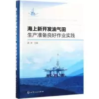音像海上新开发油气田生产准备良好作业实践田宇