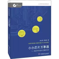 音像小小芯片万事通——著名科学家谈计算机技术吴文虎,李秋弟