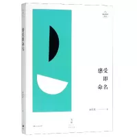 音像感受即命名/述而批评丛书来颖燕