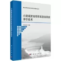 音像小流域淤地坝坝系防洪风险评价技术李占斌等著