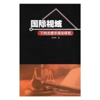 音像国际视域下的法理学理论研究王鹏森著