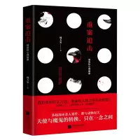 音像重案追击(罪恶的心理画像)琉天玺