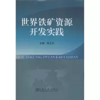音像世界铁矿资源开发实践焦玉书 编