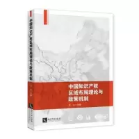 音像中知识权区域布局理论与政策机制贺化主编