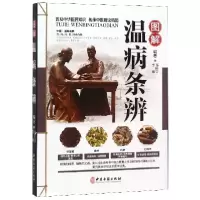 音像图解温病条辨编者:韦桂宁//李敏