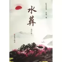 音像水葬/王蓬长篇小说王蓬
