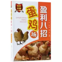 音像蛋鸡场盈利八招(双色印刷)编者:王松//张涛//赵坤