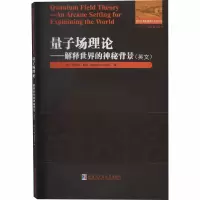 音像量子场理论——解释世界的神秘背景(英文)(意)罗伯特·勒戈