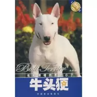 音像牛头〓:长相滑稽的勇敢小子孙鸥编著