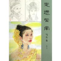 音像走进云南写生集何丽