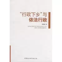 音像“行政下乡”与依法行政姚锐敏著