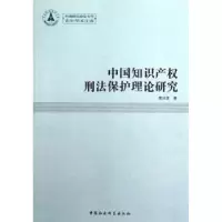 音像中知识权刑法保护理论研究黄洪波著