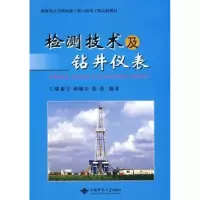音像检测技术及钻井仪表鄢泰宁
