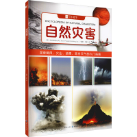 音像自然灾害北巡游出版公司