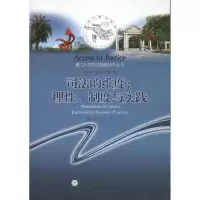 音像司法的维度陈斯 等